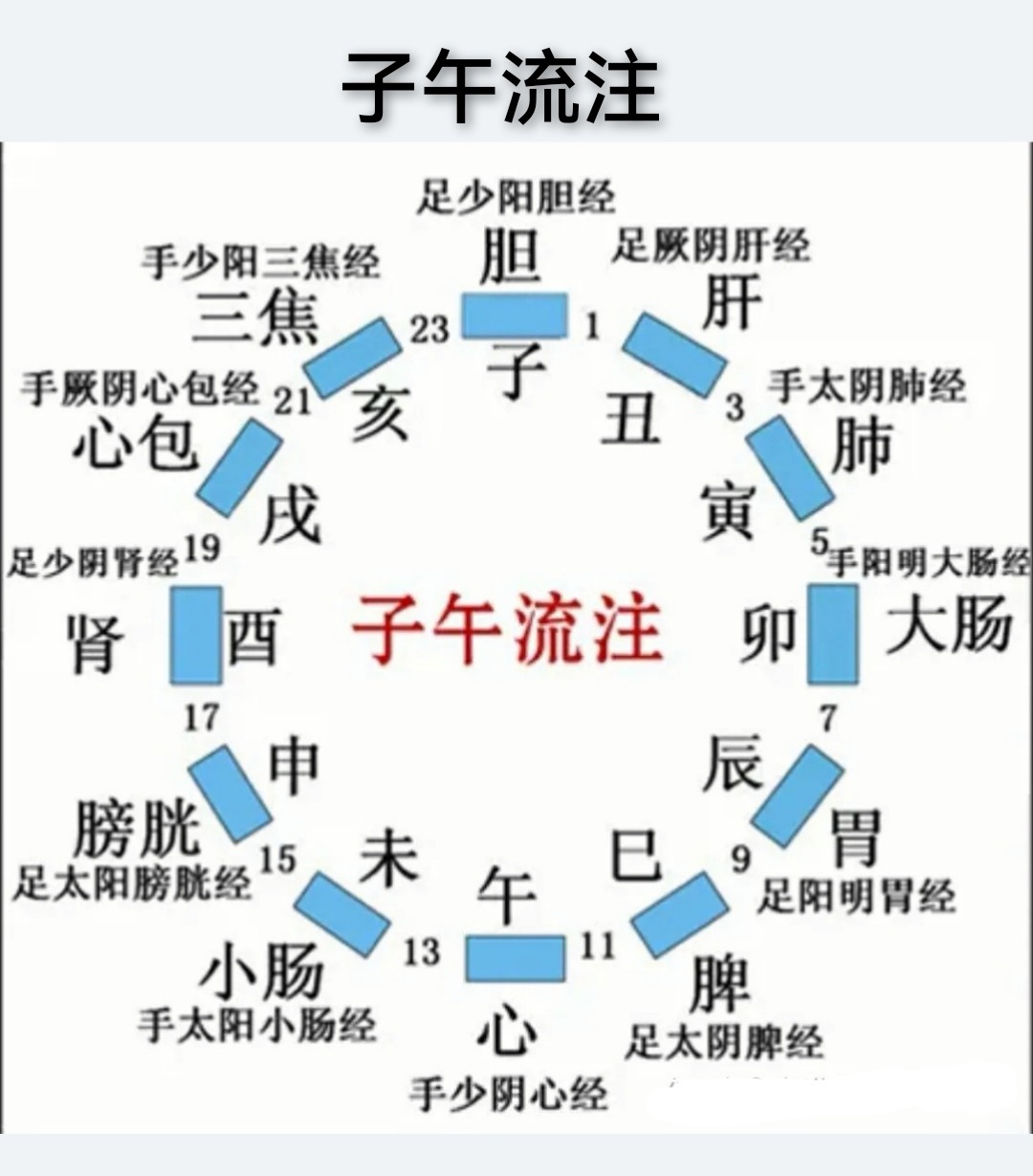 子午流注-中国.jpg