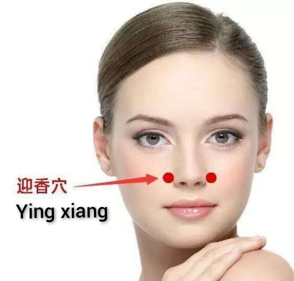 迎香.jpg