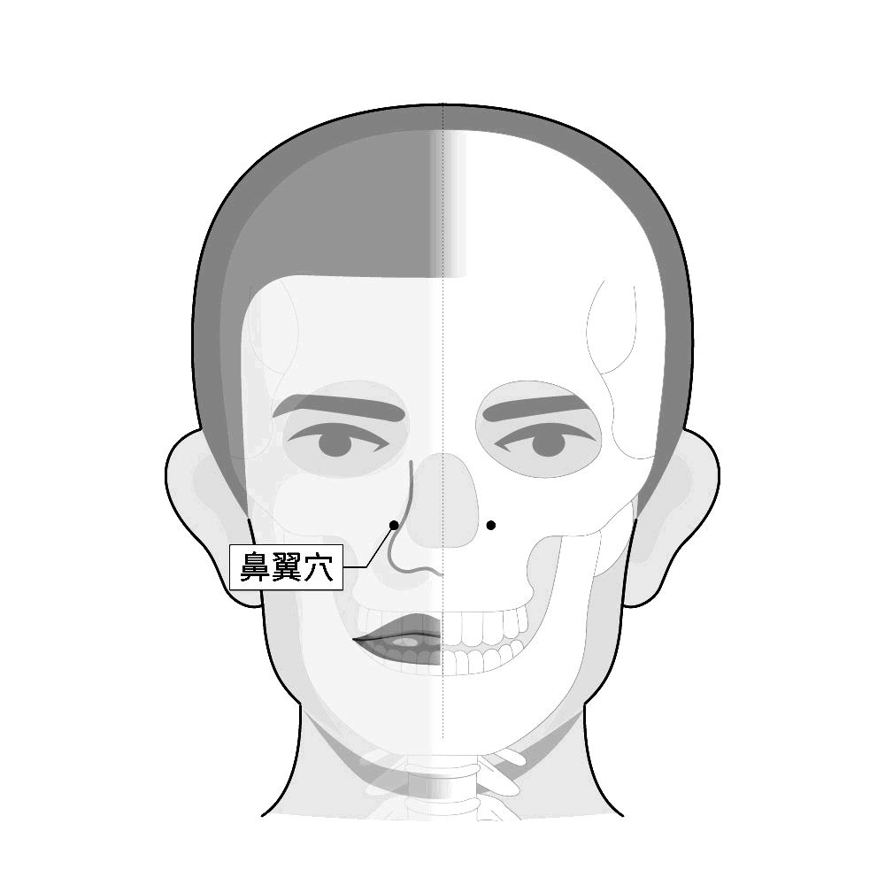 10-10-鼻翼穴 Bí yì.jpg