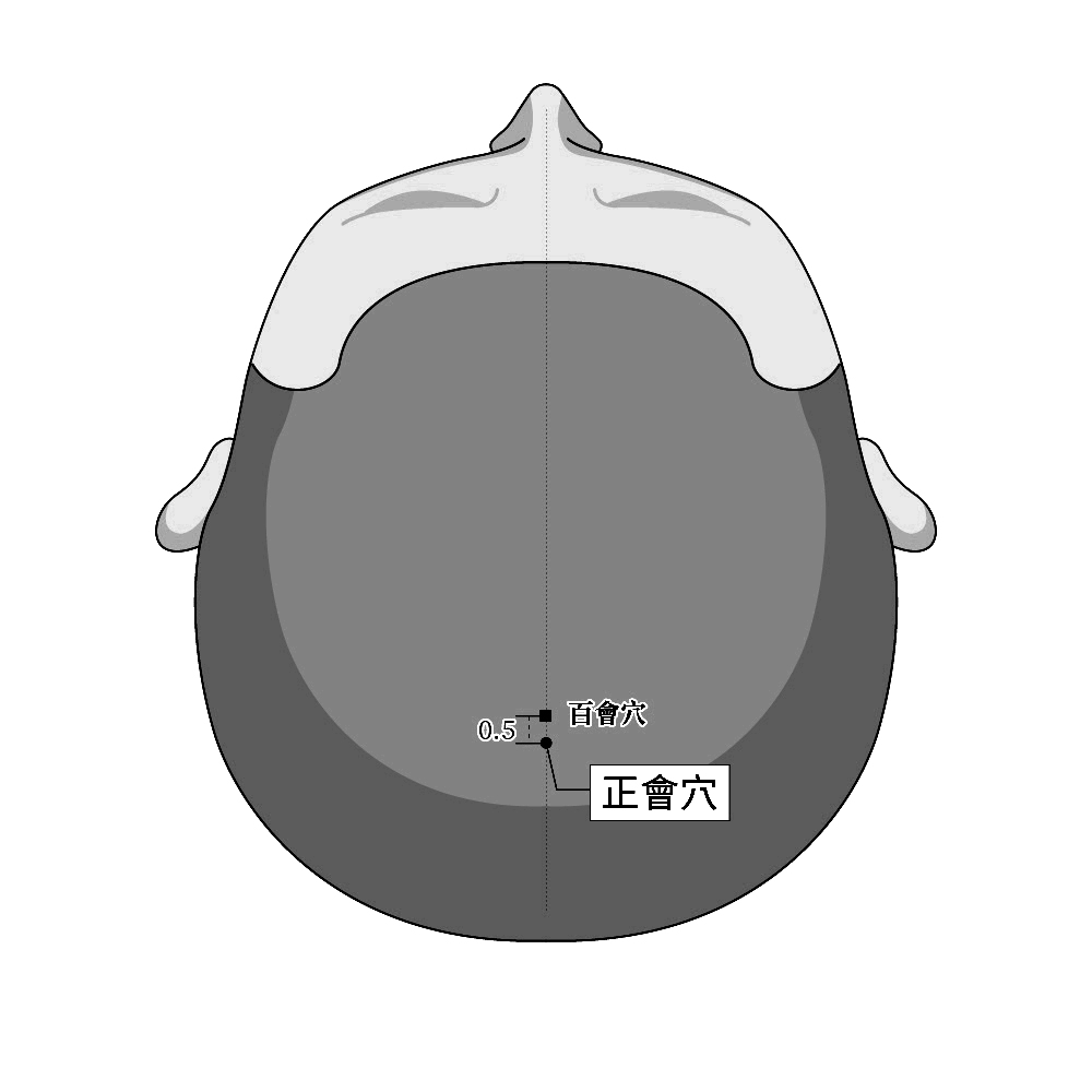 10-10-正會穴 Zhèng huì.jpg
