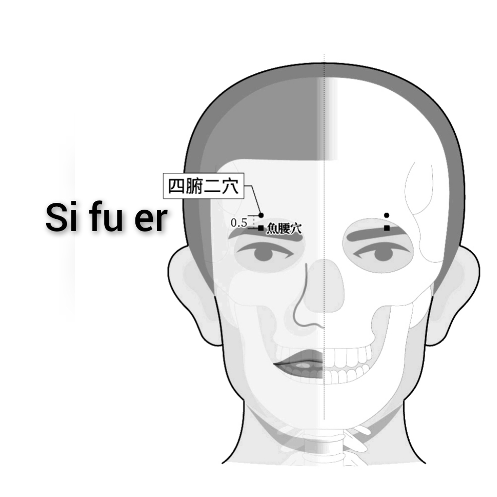 69fa4e686104528baf7ddf7e5d25d38.jpg