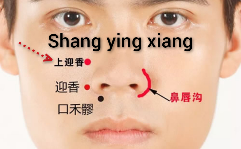 上迎香.jpg