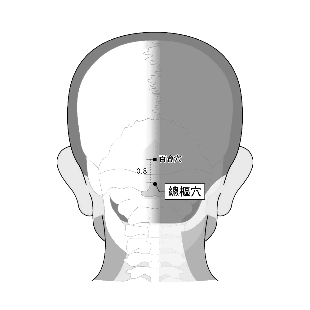 10-10-總樞穴 Zǒng shū.jpg