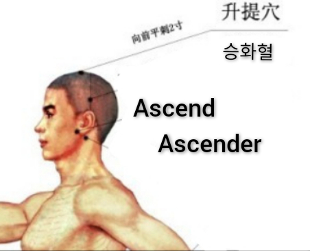 升提.jpg