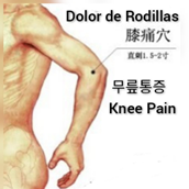 膝痛.png