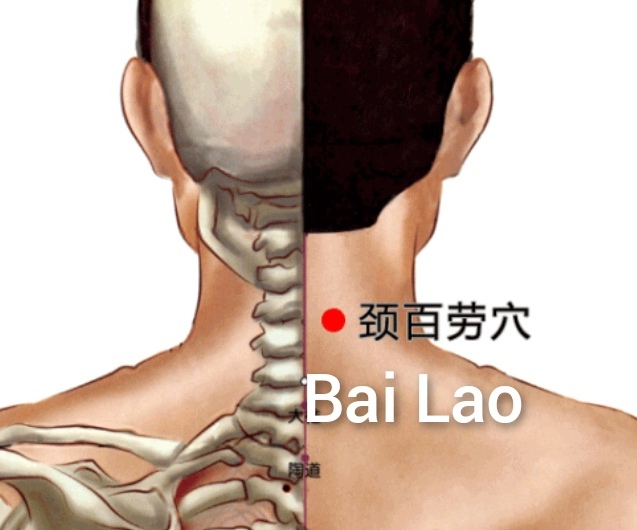 白劳.jpg