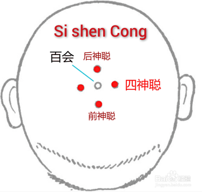 四神聪.jpg