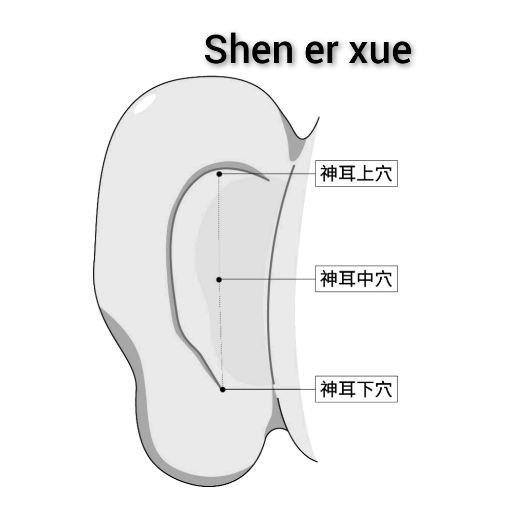 神耳.jpg