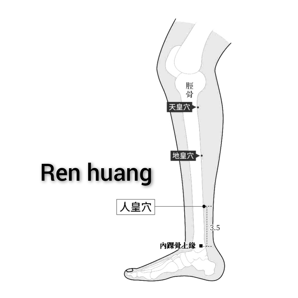 人皇.jpg