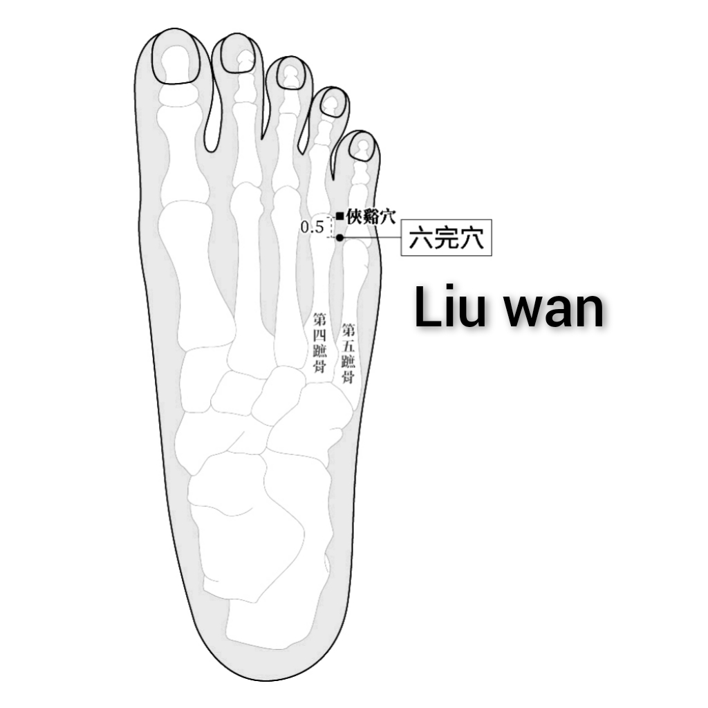 六完.jpg