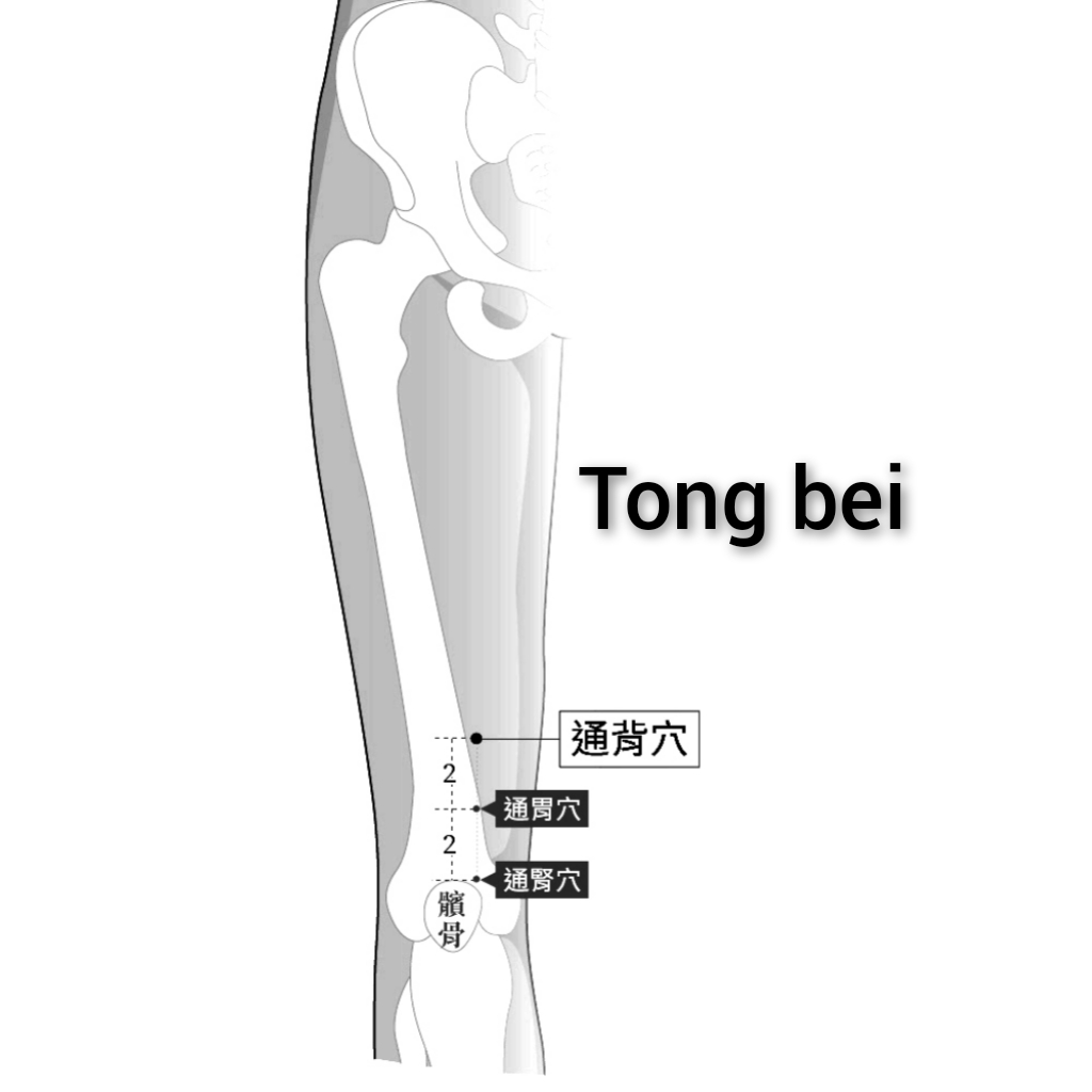 通背.jpg