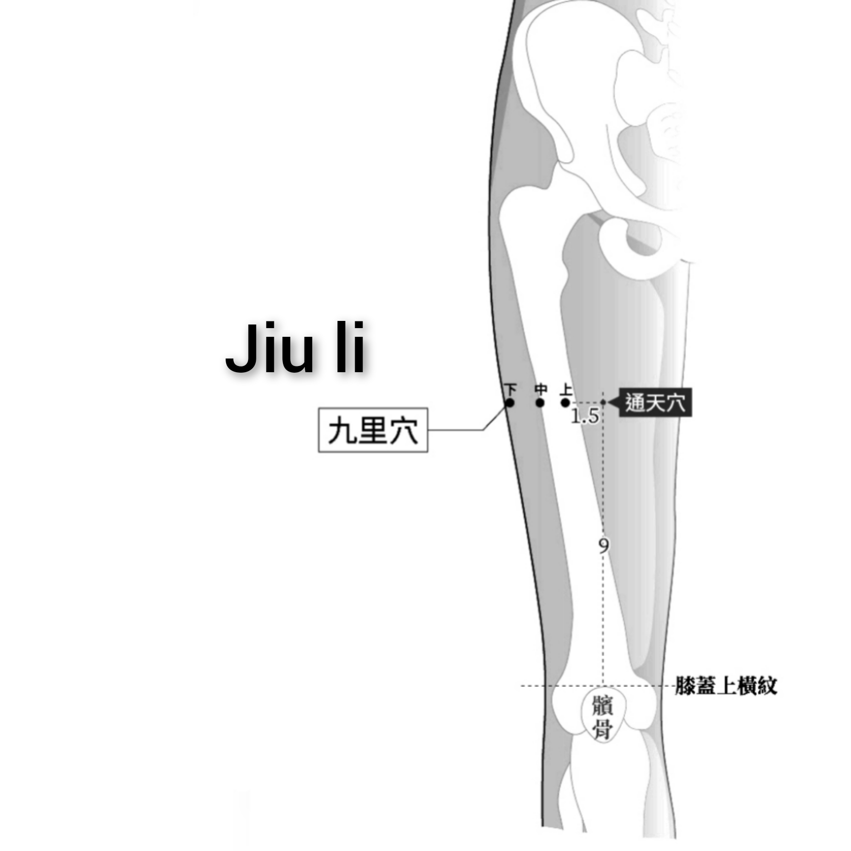 九里.jpg