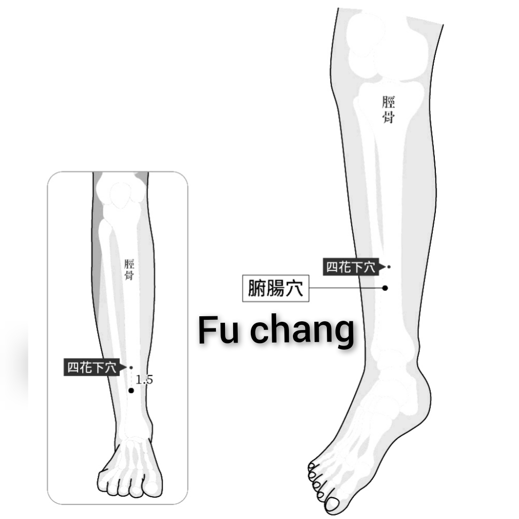 腑场.jpg