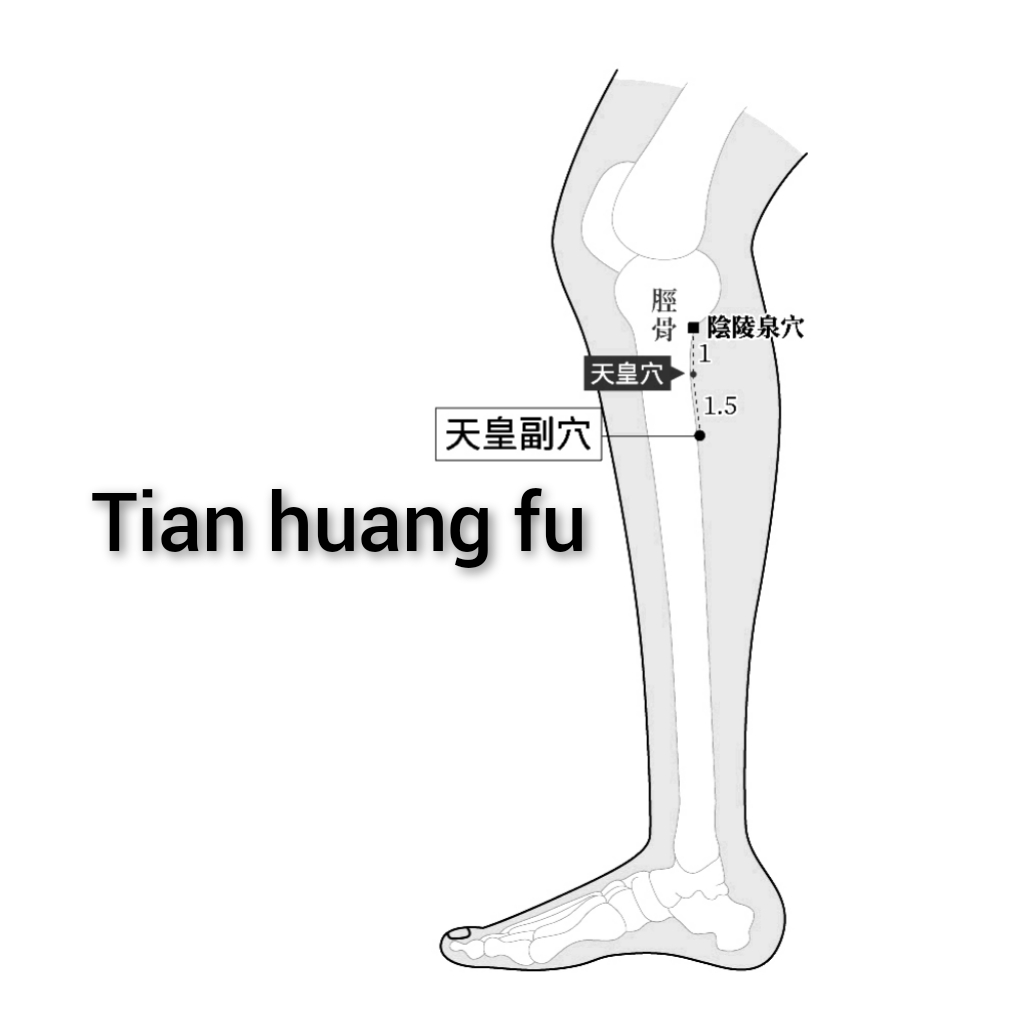 天皇副.jpg