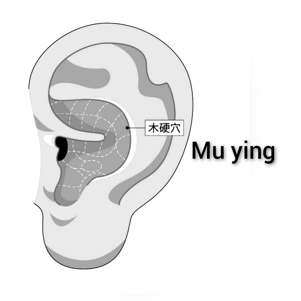 木硬.jpg
