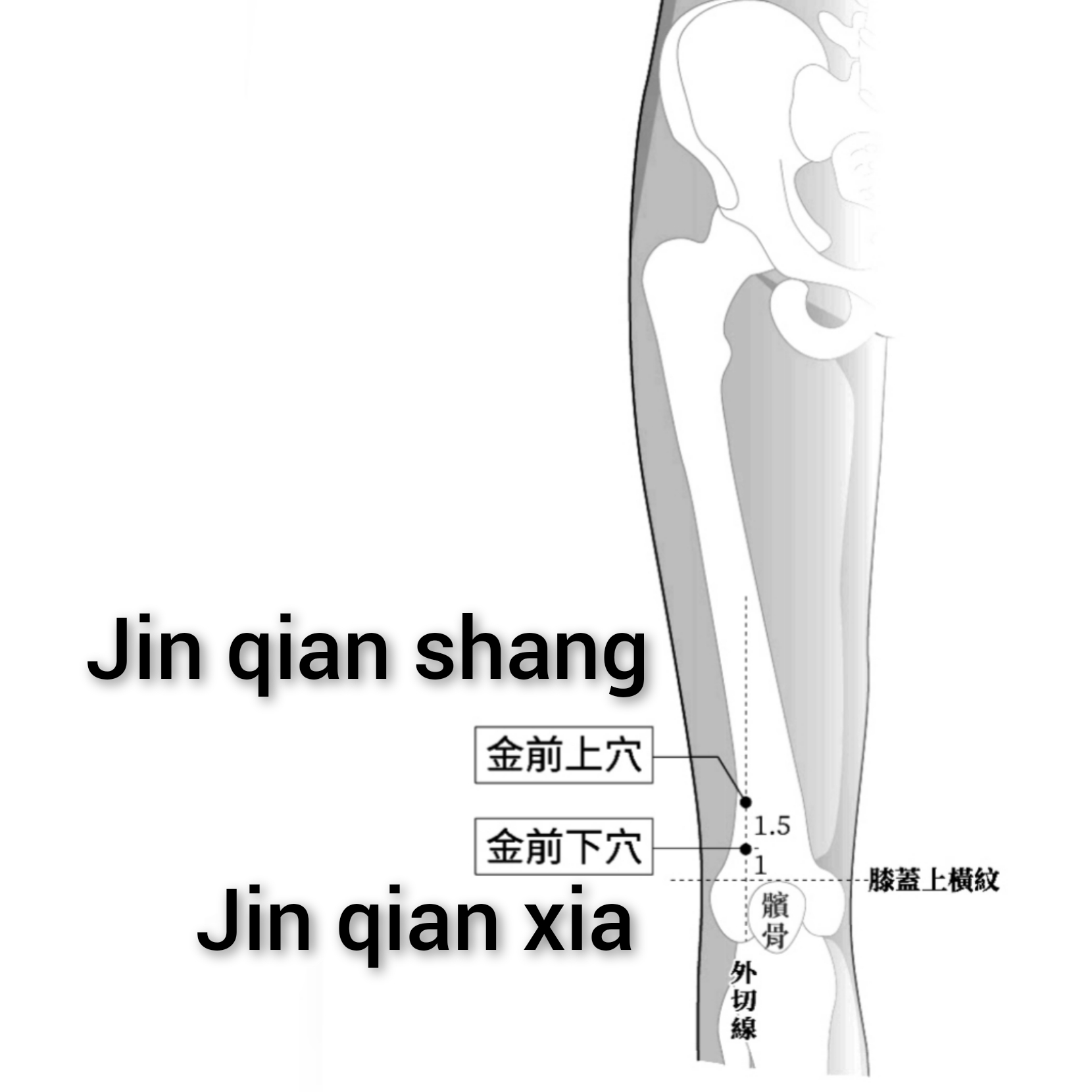 金前.jpg