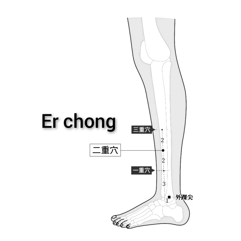 二重.jpg