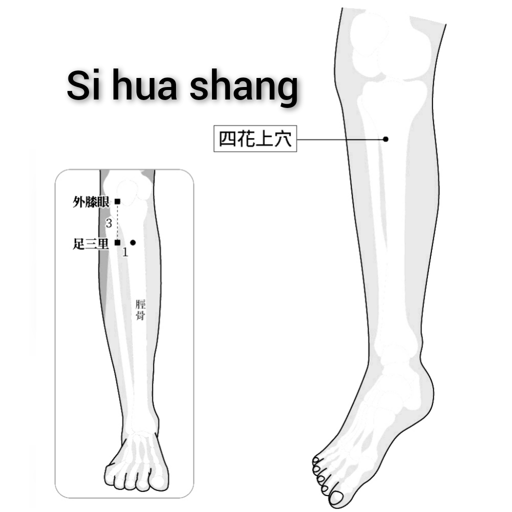 四花上.jpg