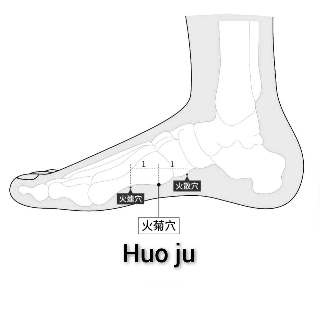 火菊.jpg