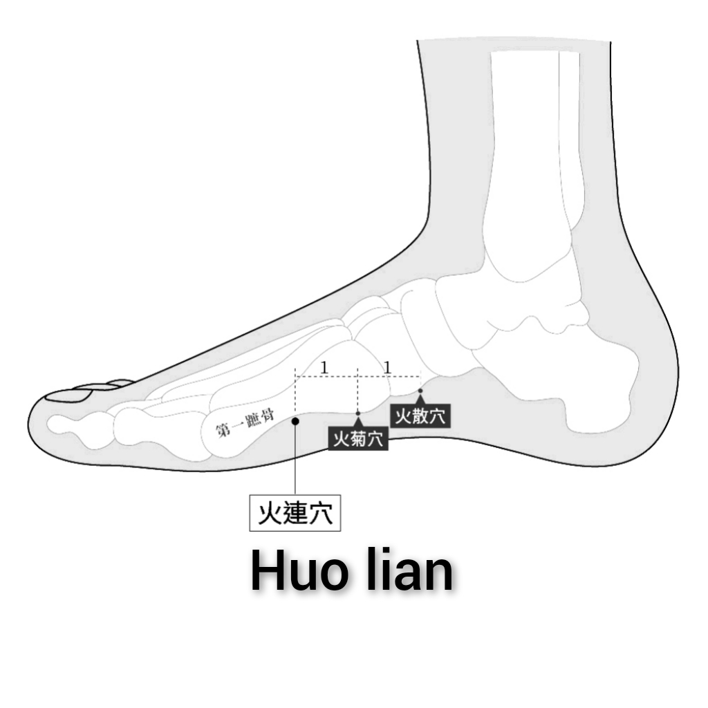 火莲.jpg