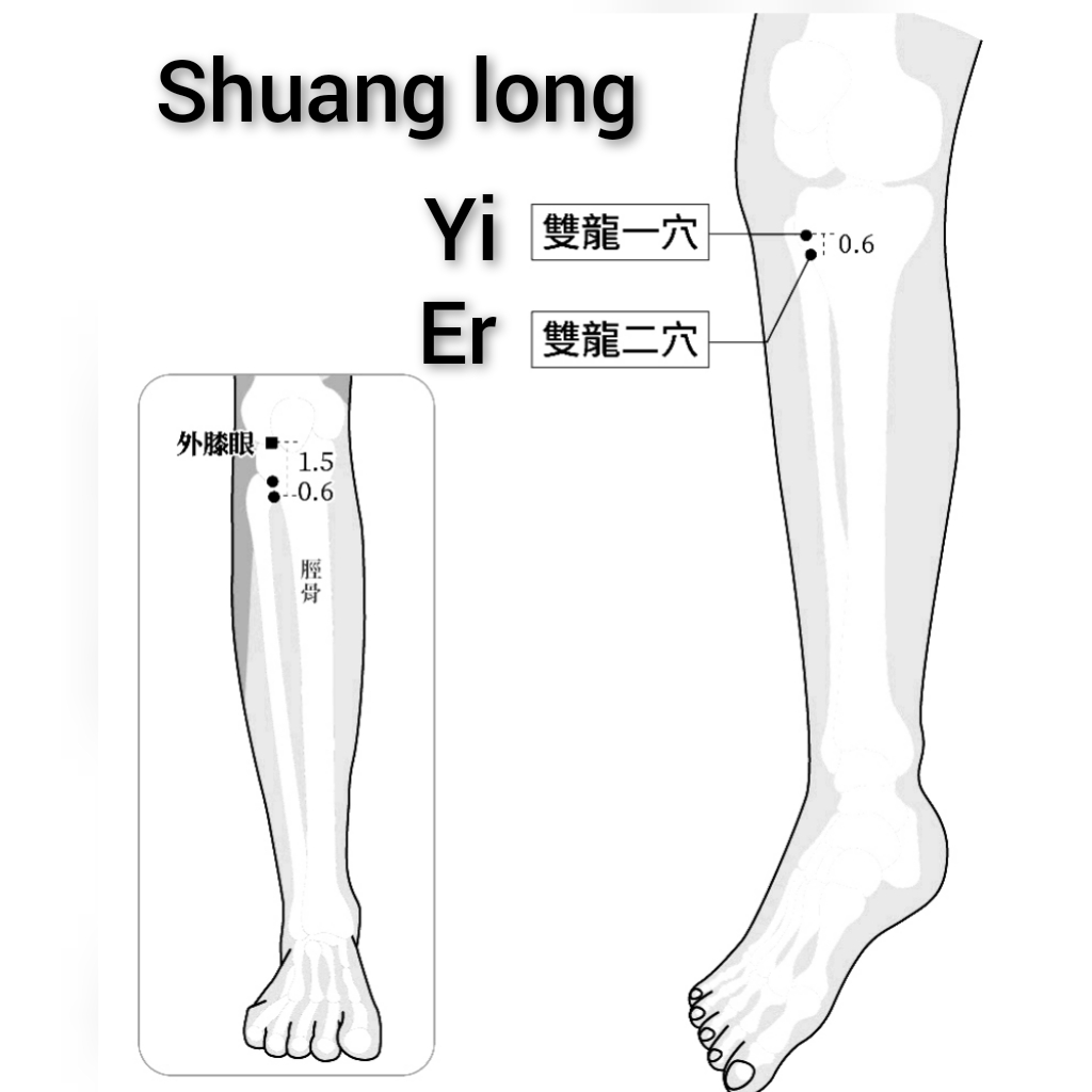龙一二.jpg