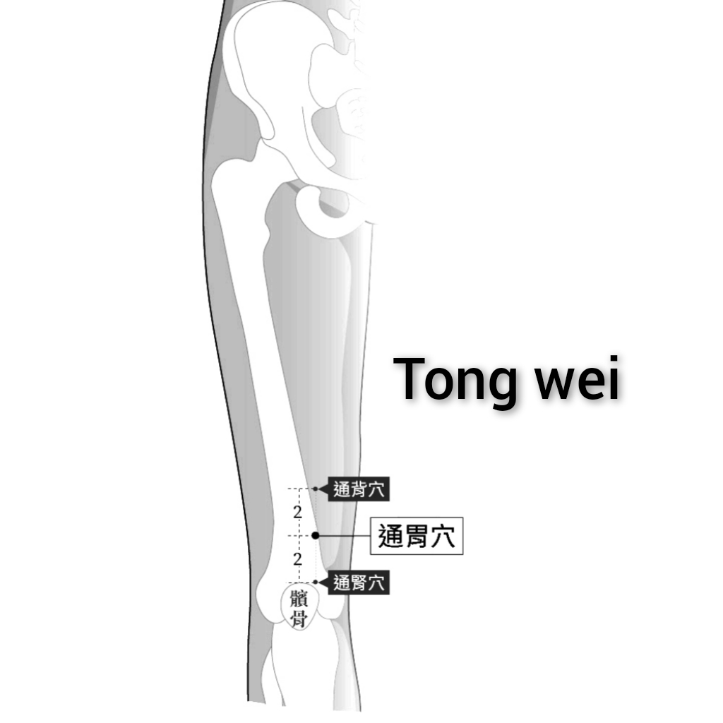 通渭.jpg