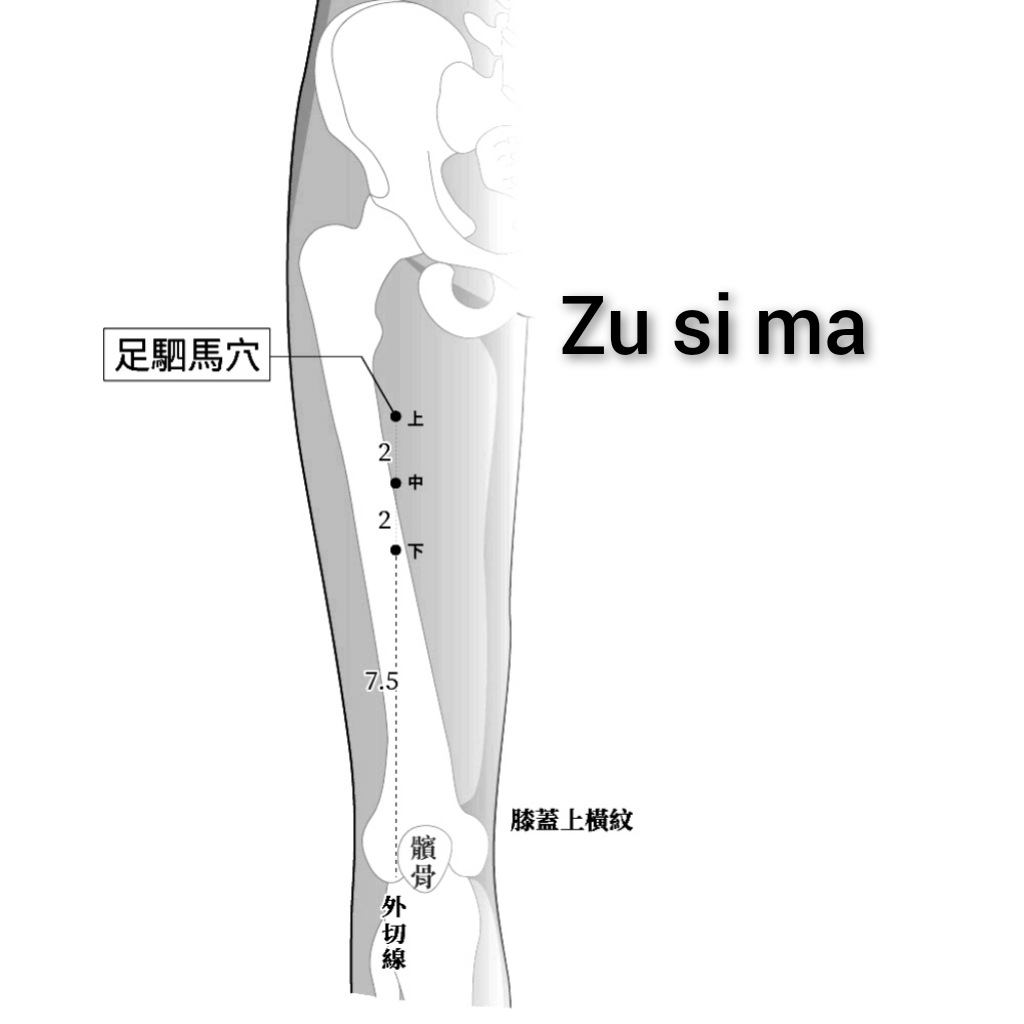 足驷马.jpg