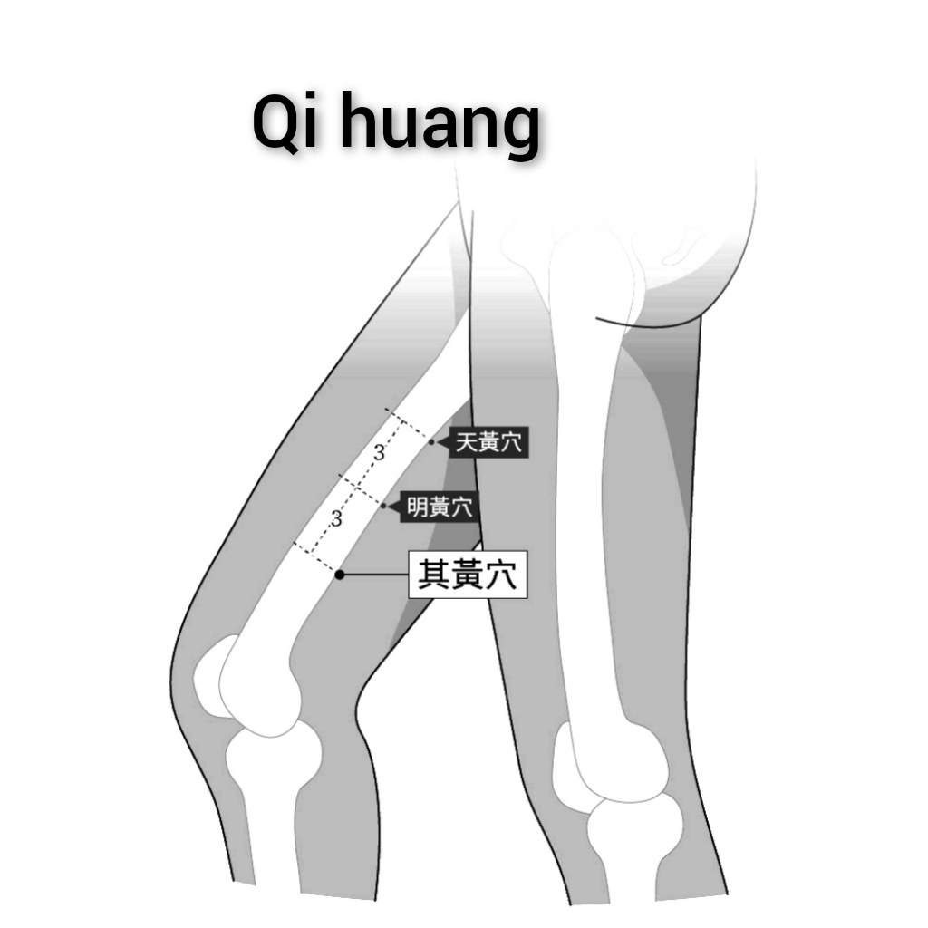 其黄.jpg