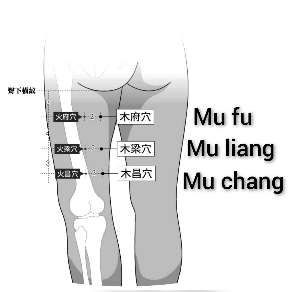 木府-木梁-木昌.jpg