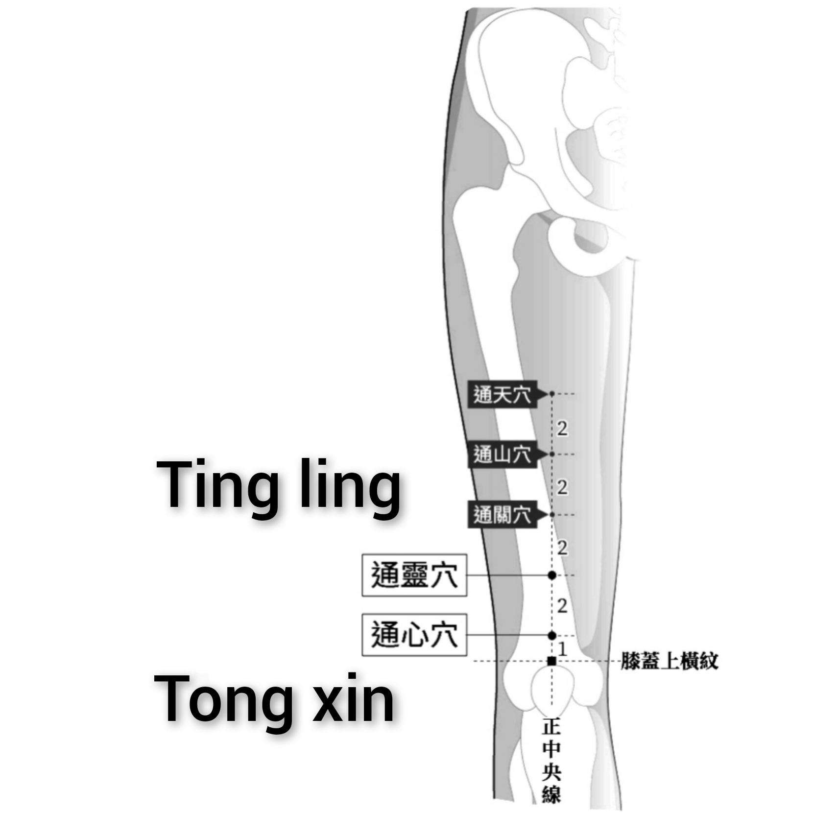 通林-通心.jpg