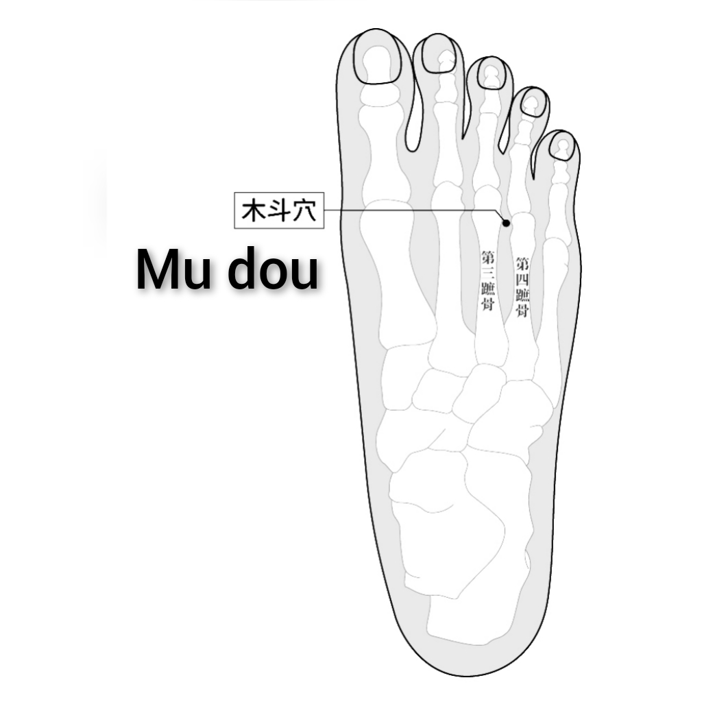 木斗.jpg
