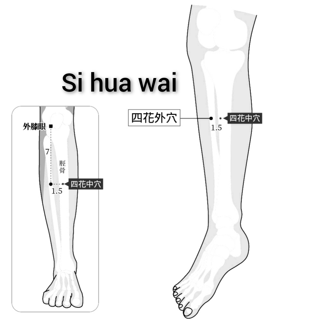 四花外.jpg