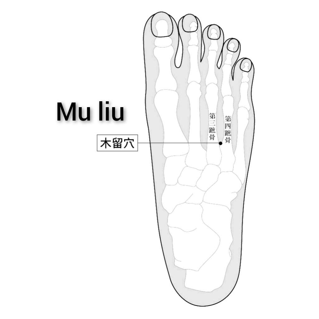 木留.jpg