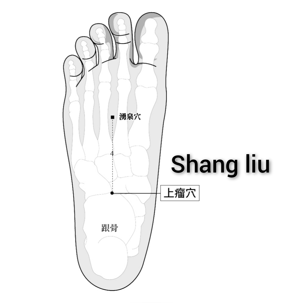 上瘤.jpg