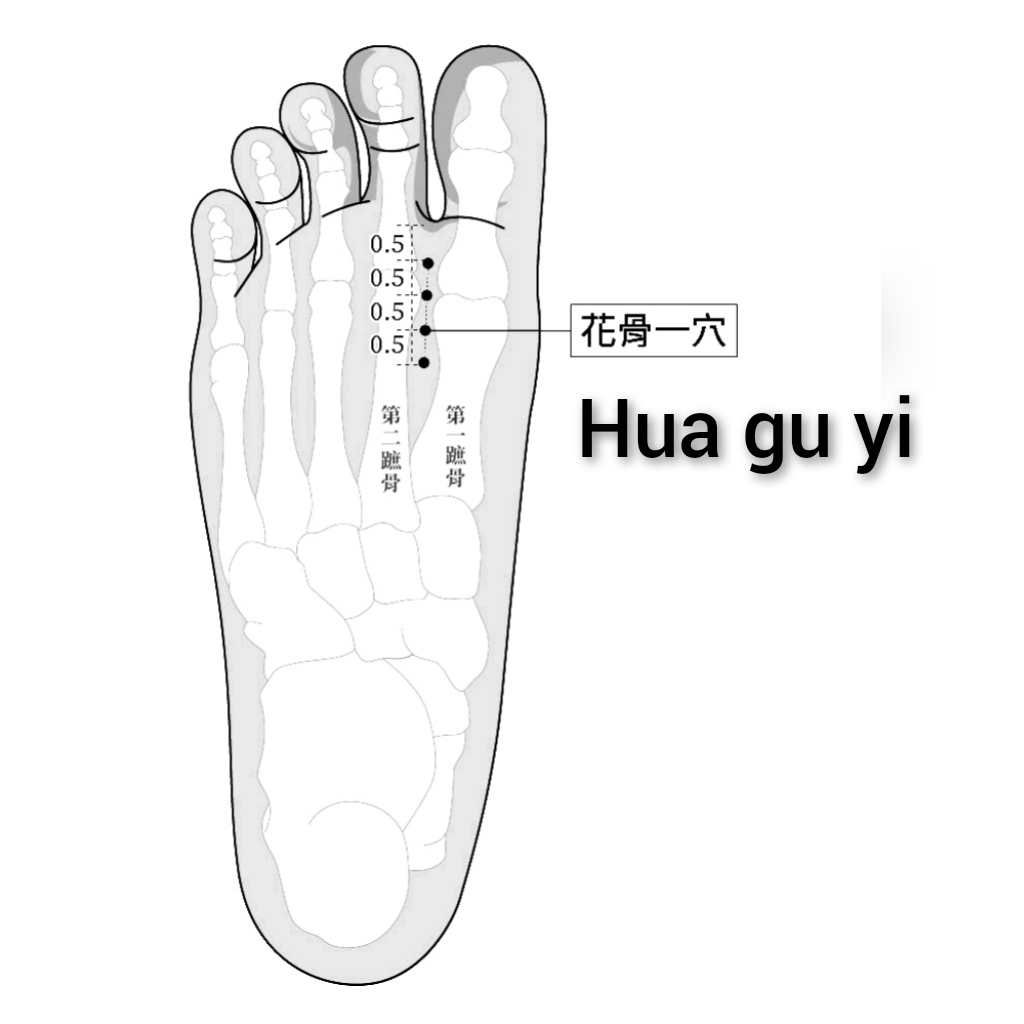 花骨一.jpg