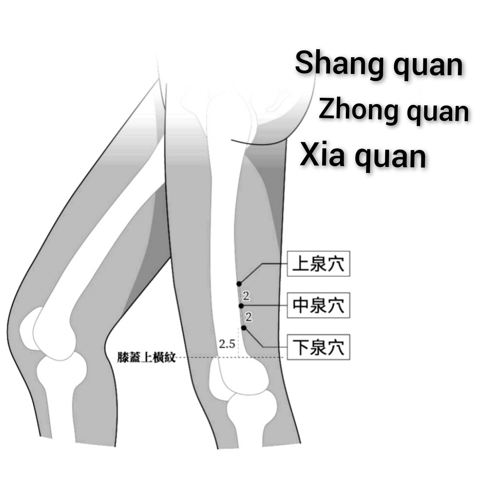 上，中，下泉.jpg