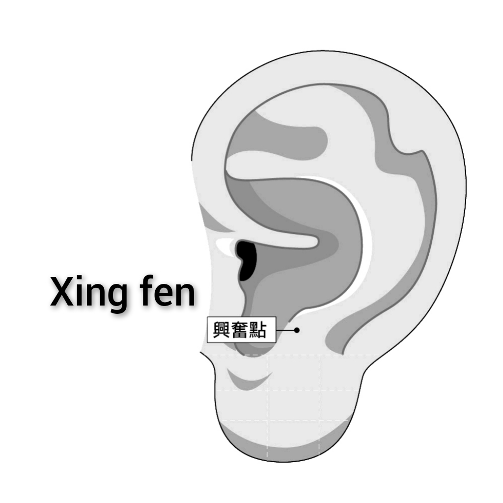 兴奋.jpg
