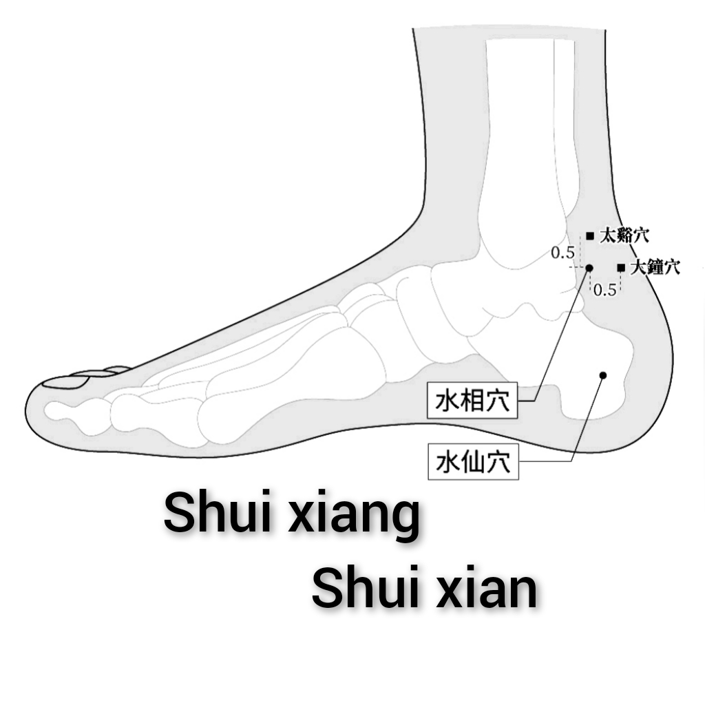 水仙-水相.jpg