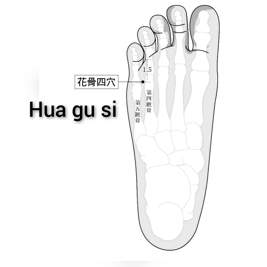 花骨四.jpg