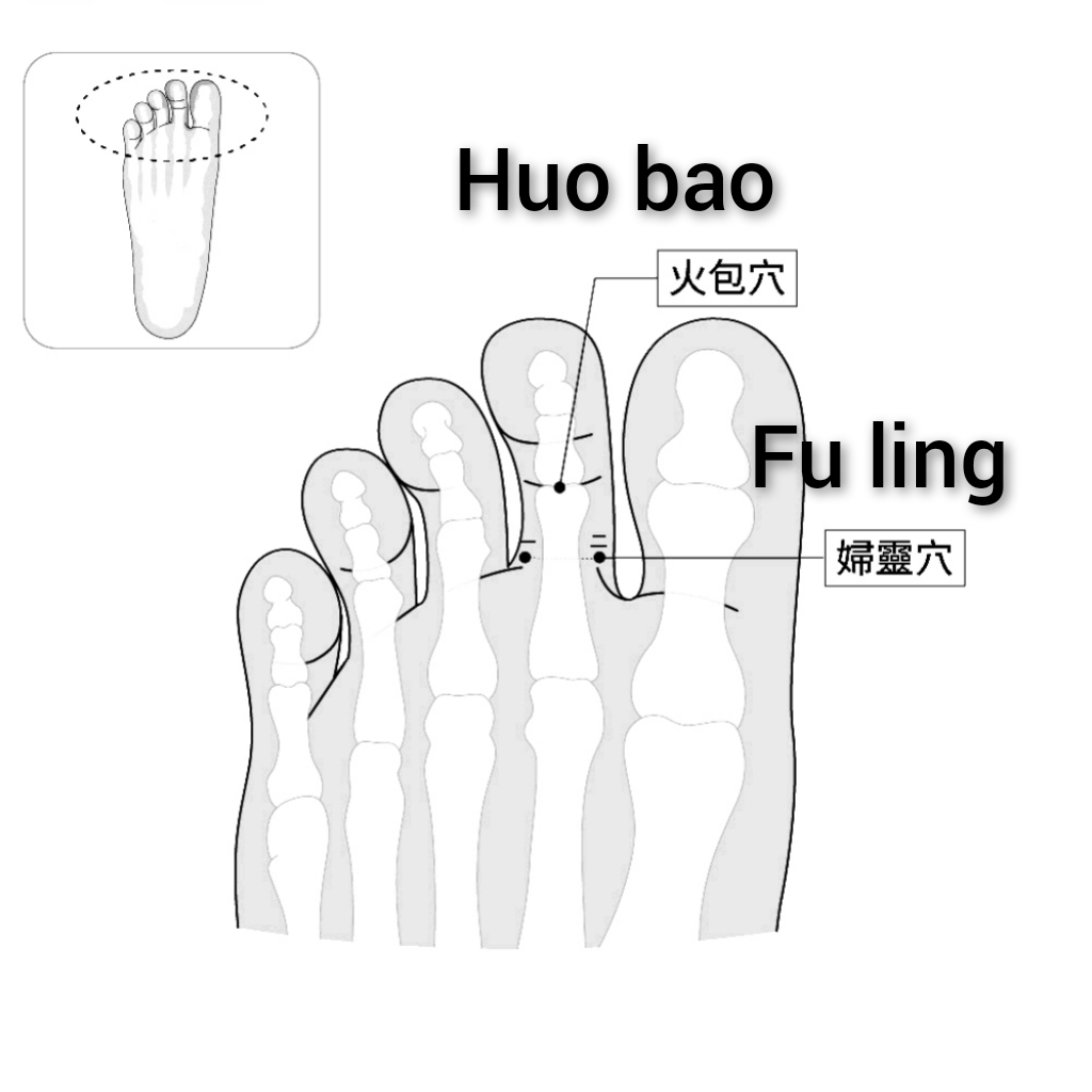 火炮-妇灵.jpg
