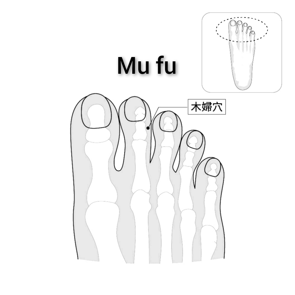 木妇.jpg