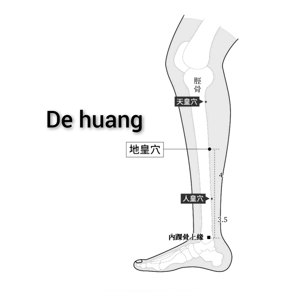 地皇.jpg