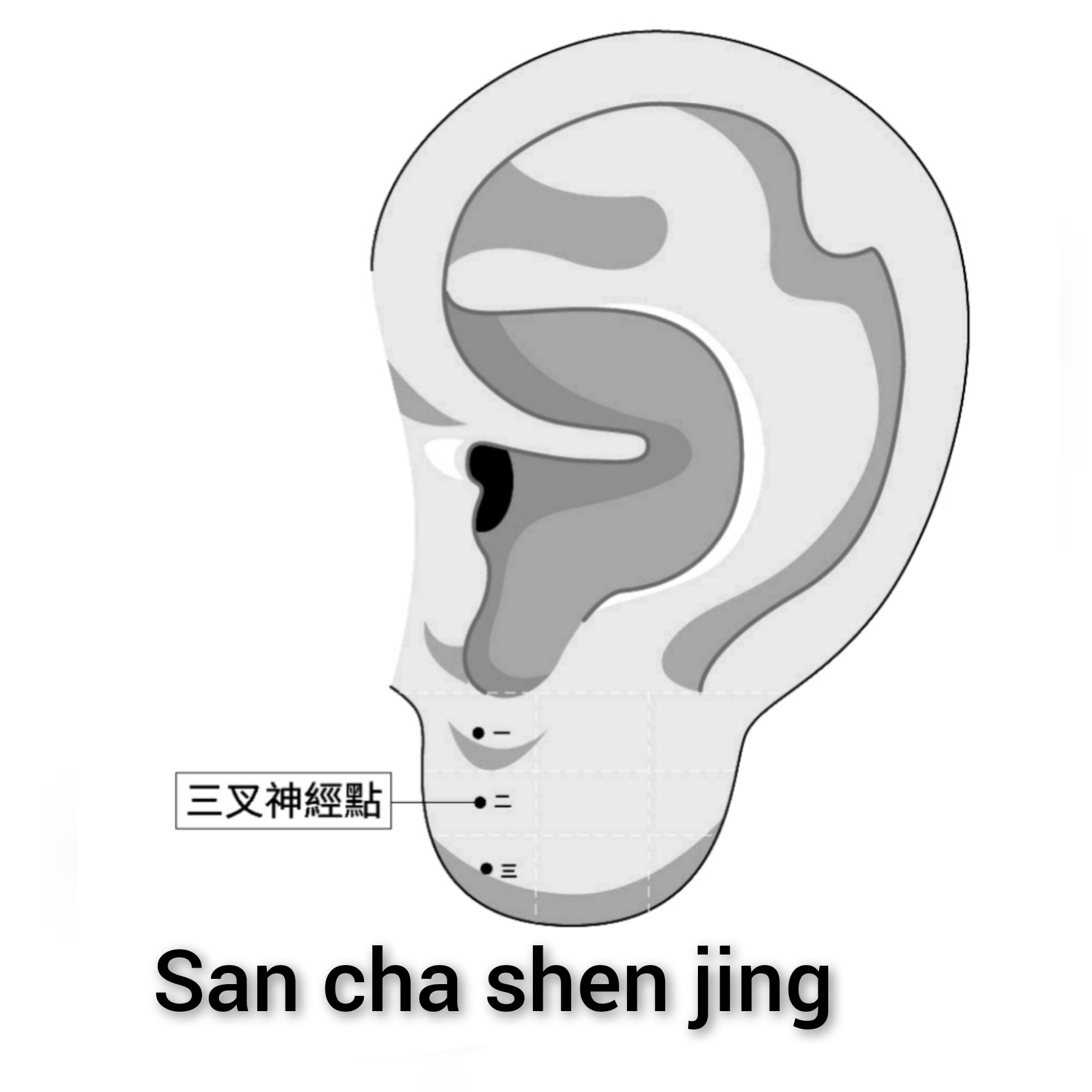 三叉神经.jpg