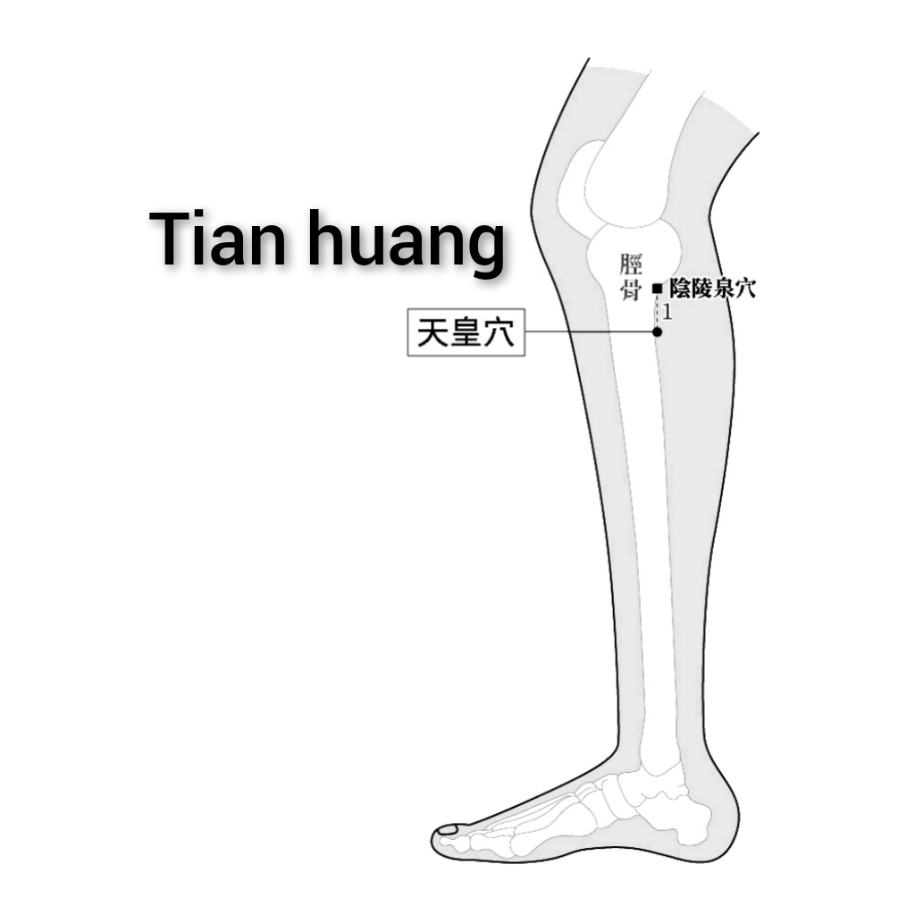 天皇.jpg
