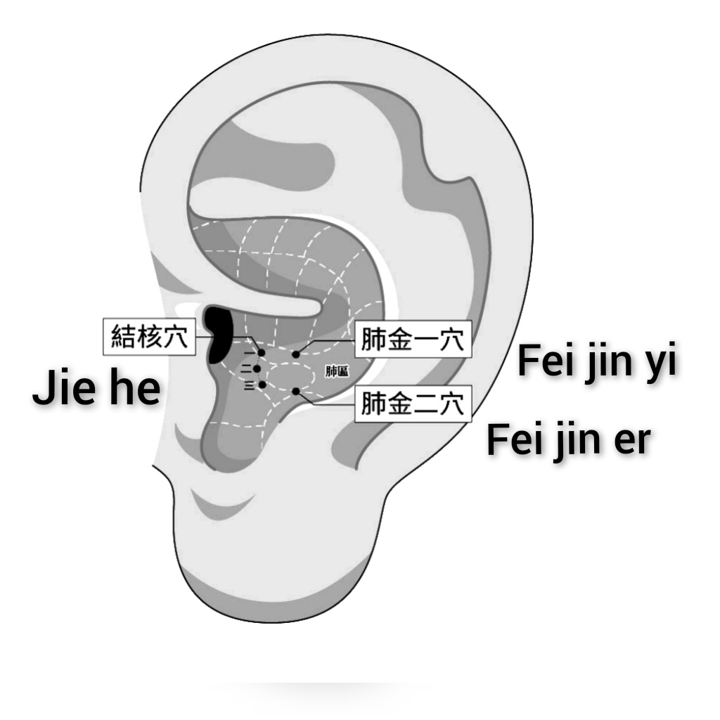结核-肺金.jpg