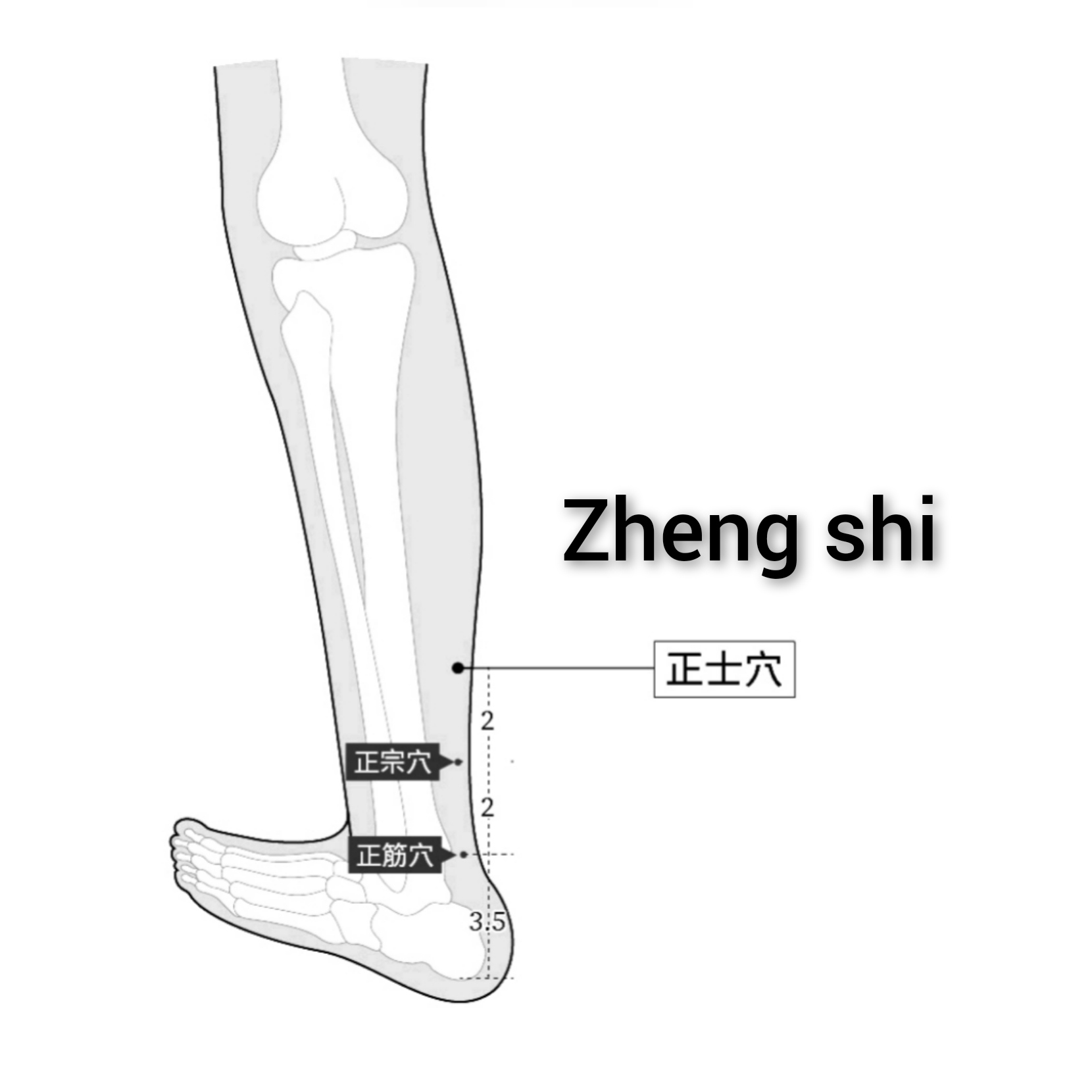 正士.jpg