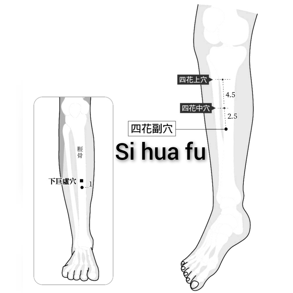 四花副.jpg