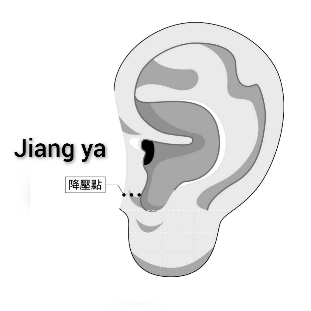降压.jpg