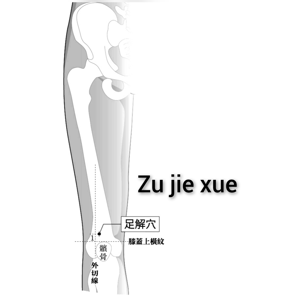 足解.jpg