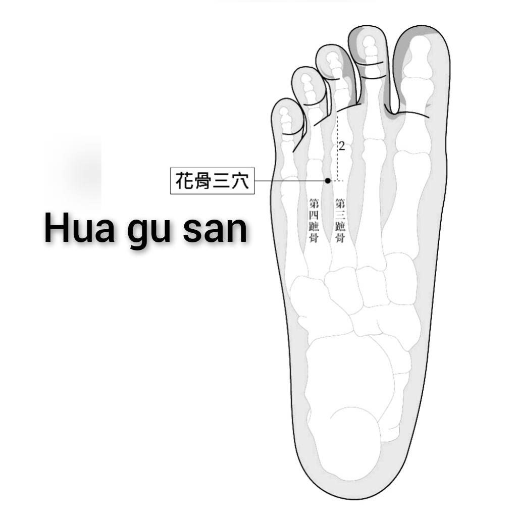 花骨三.jpg